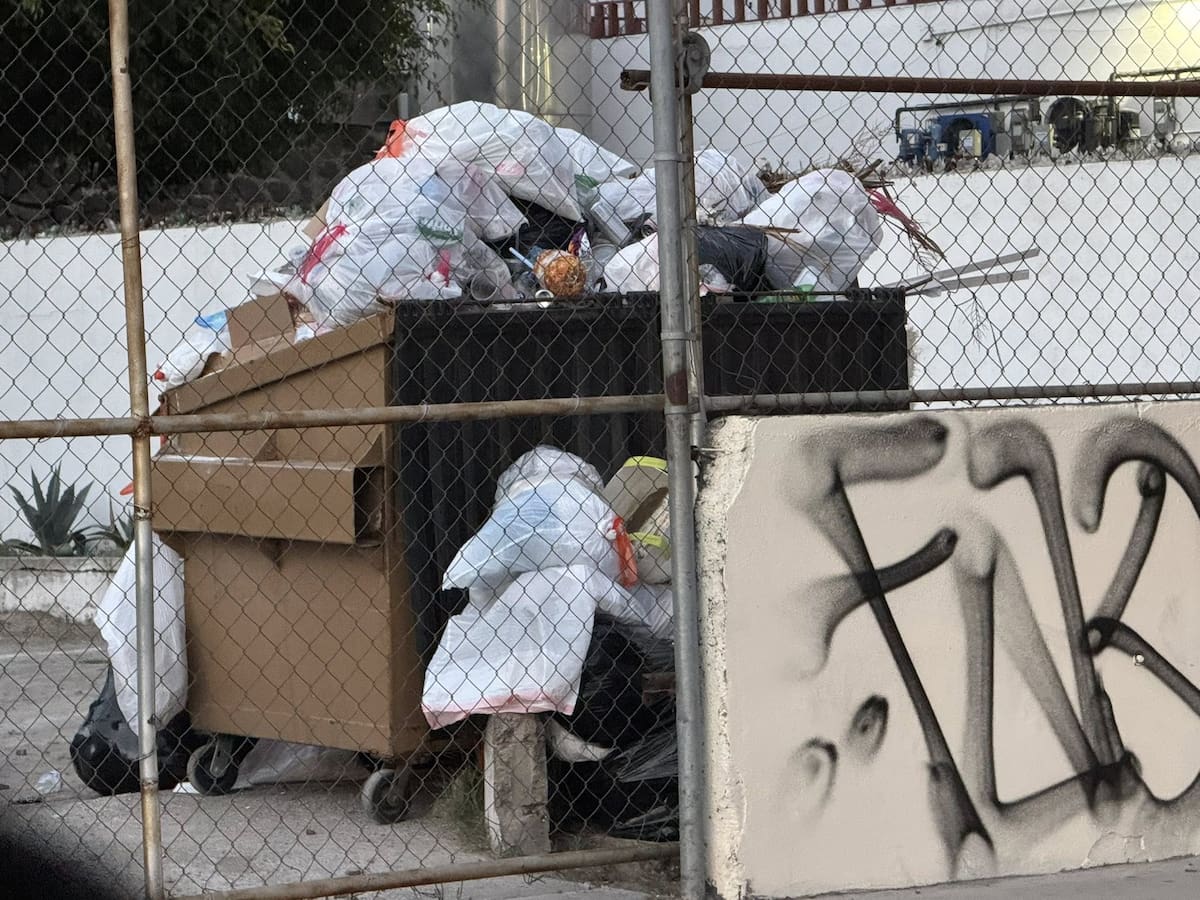 foto: Alejandro Zepeda