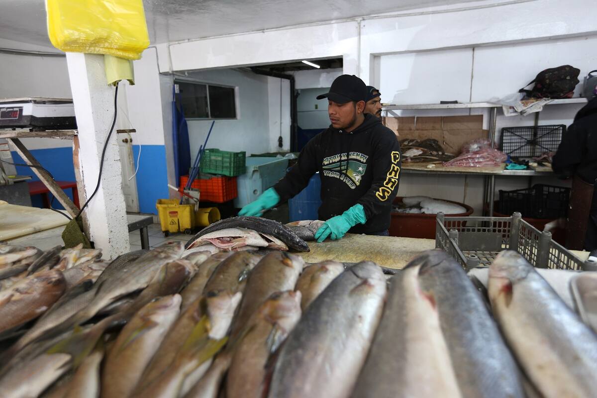 Suben 20% pescado y mariscos en Cuaresma