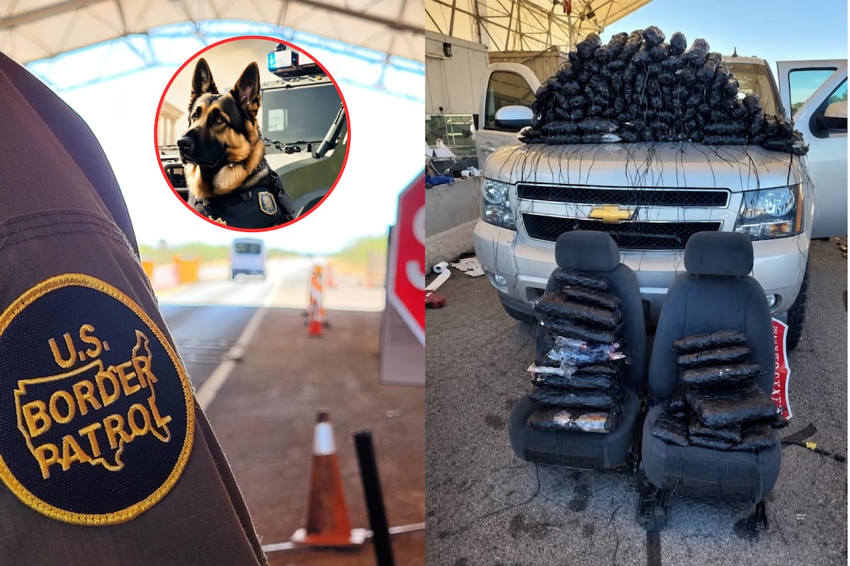 Agente canino descubre cargamento de fentanilo y metanfetamina oculto en camioneta cerca de Nogales