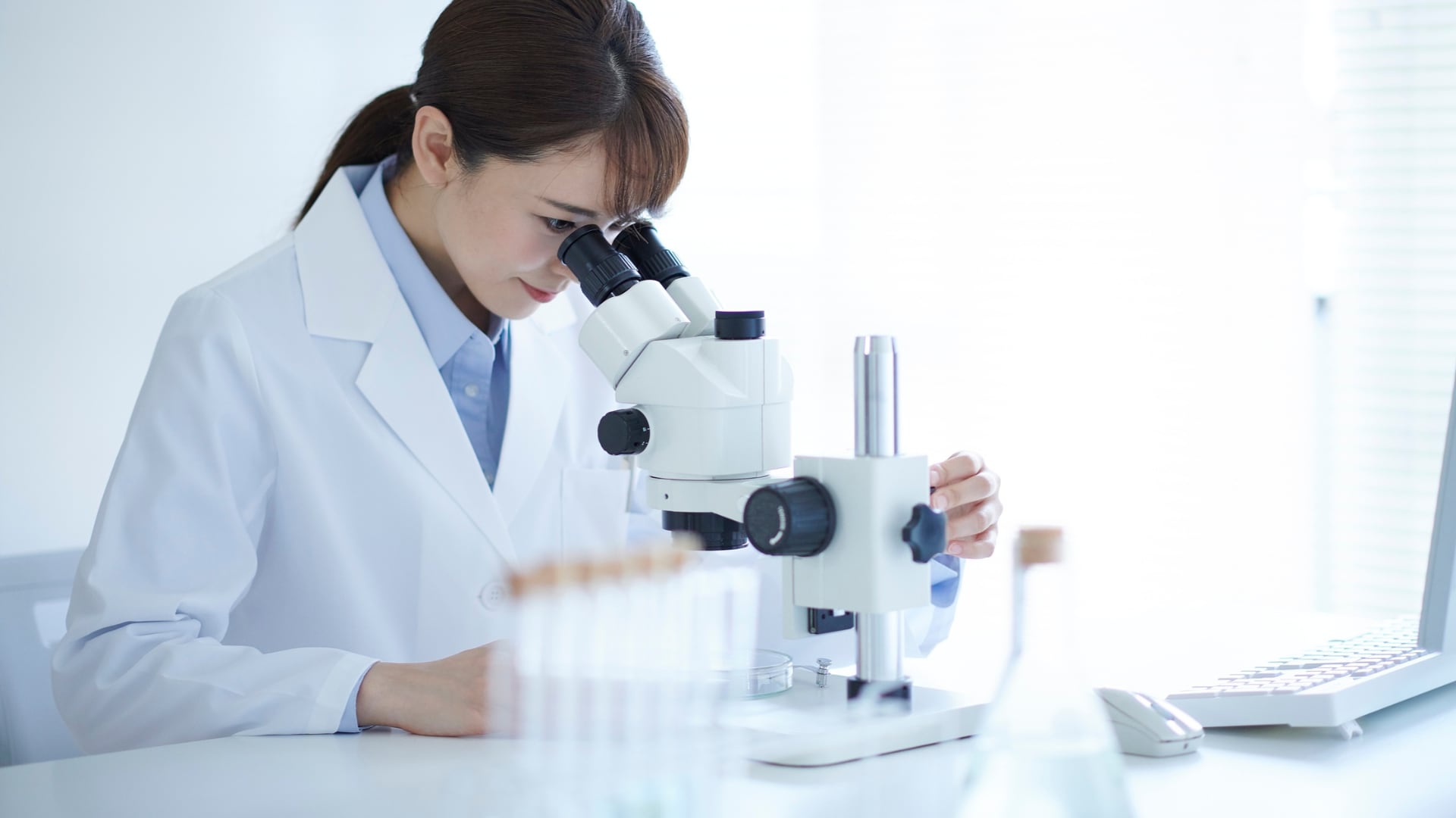 Investigadores lograron diseñar con inteligencia artificial genomas completos de virus que después funcionaron en laboratorio contra bacterias E. coli. /Foto: Canva
