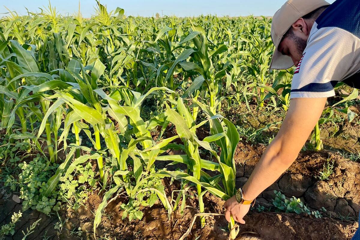 Persiste inconformidad en agricultores por falta de apoyo a la propuesta 90/10