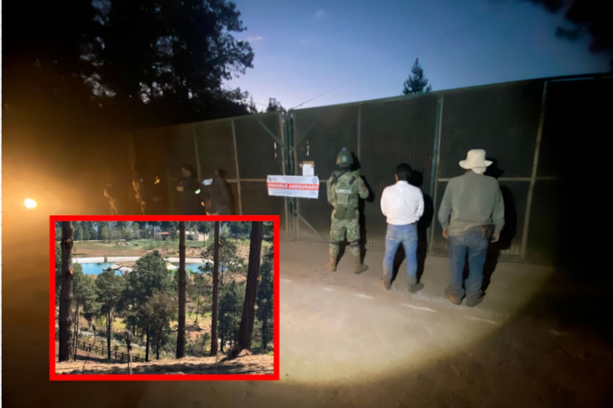 Aseguran predio de casi 500 hectáreas por cambio ilegal de uso de suelo en Valle de Bravo