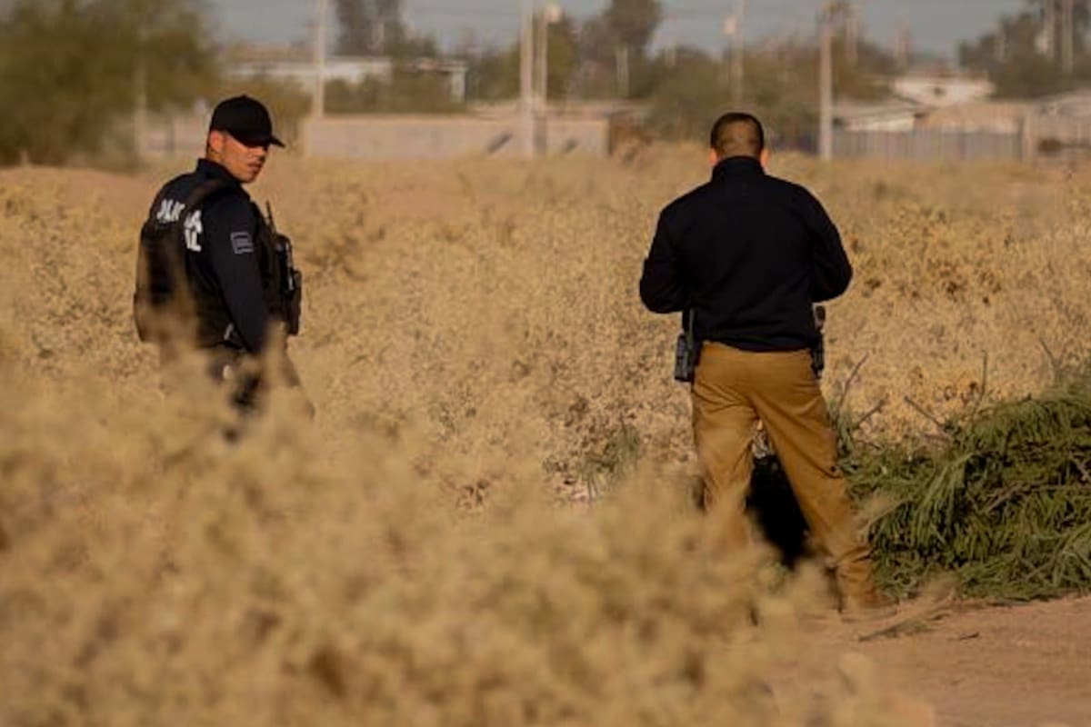 Hallan a mujer sin vida con heridas de bala en un baldío