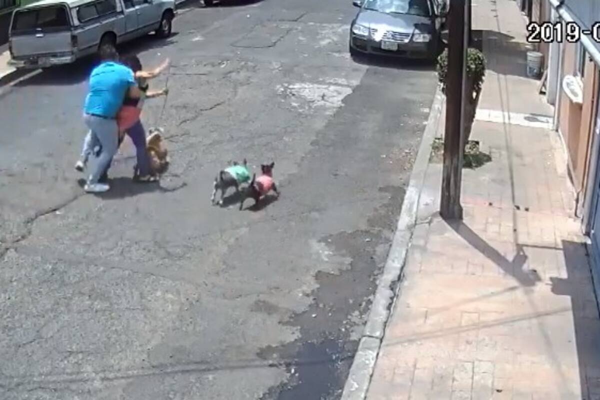 VIDEO: ¡Indignante! Hombre taclea a mujer por pelea de perritos en CDMX