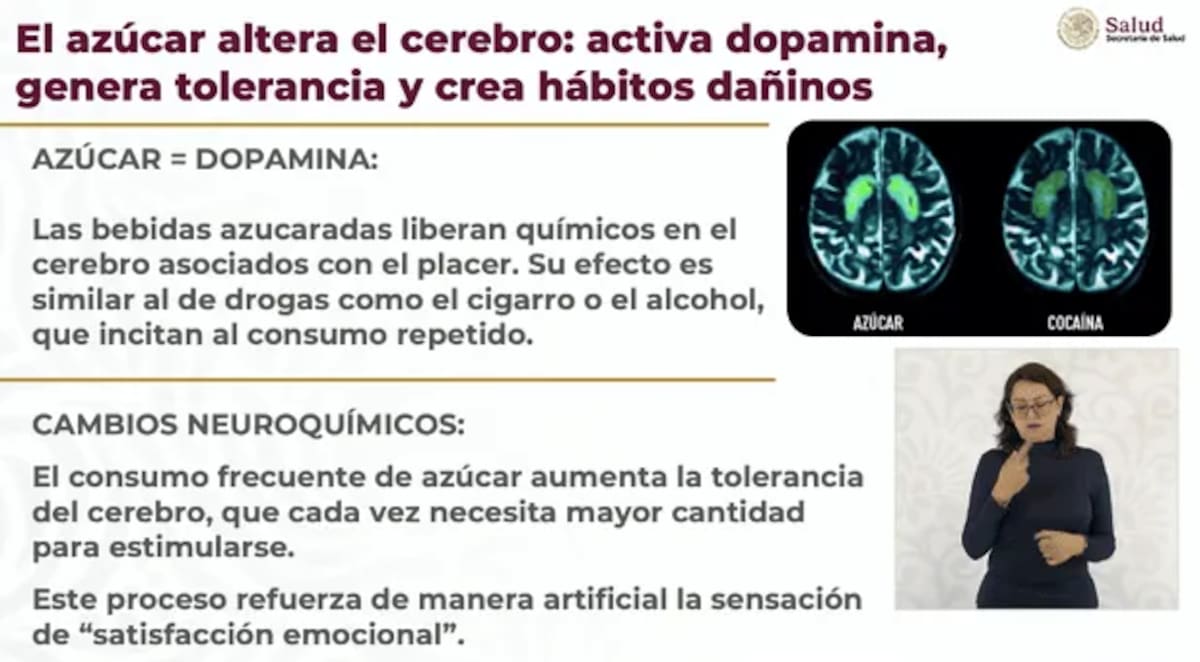 Estos son los efectos en el cerebro por el consumo de azúcar. Foto: Milenio