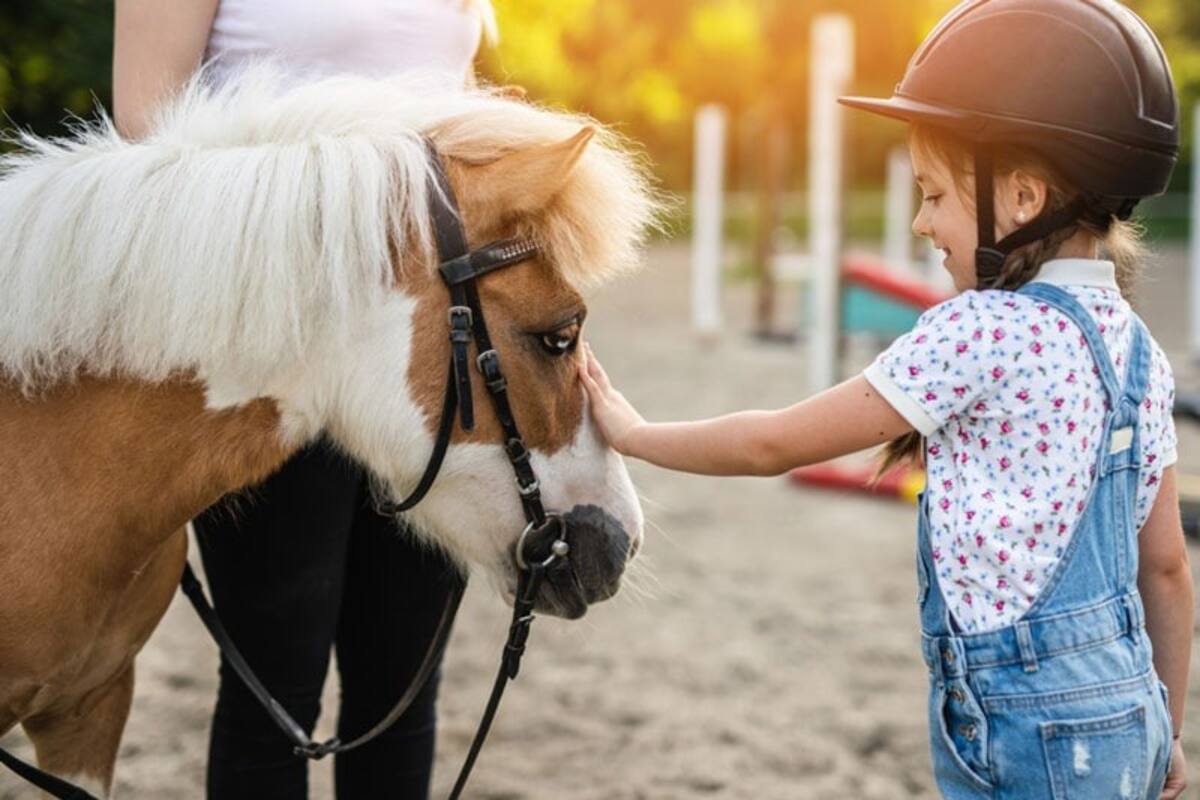 “Ya eres famosa”: niña llega a la escuela en su poni y se hace viral; video