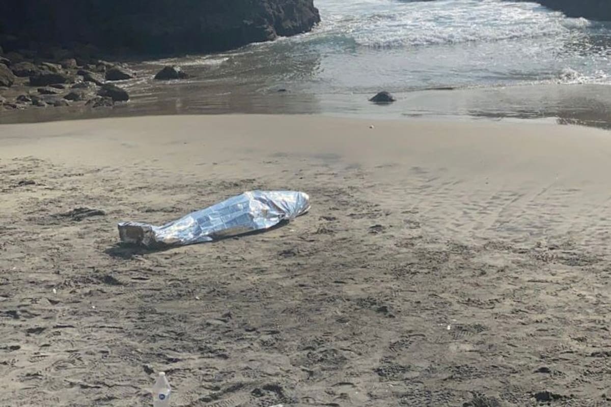 Suman tres personas fallecidas en acantilados de Rosarito en lo que va del año