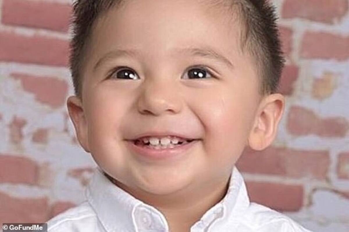 Muere niño por E.coli tras visitar zoológico de mascotas