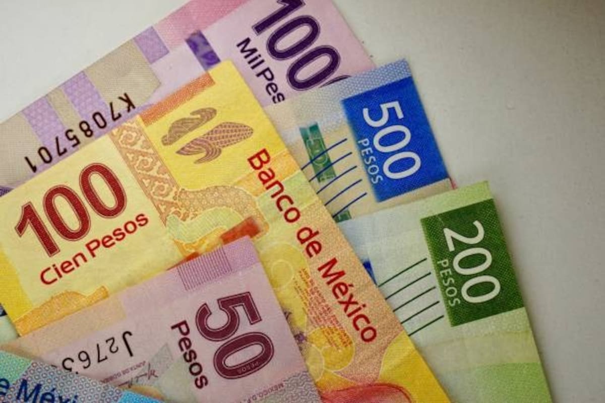 Descarta gobernadora reducir el impuesto sobre la nómina por eliminación del Fidem