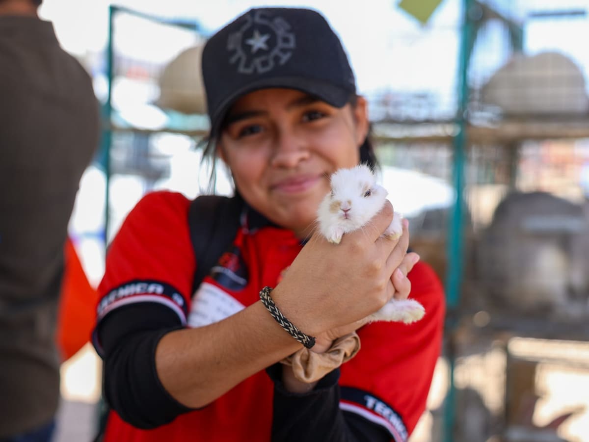 Desde una idea cuestionada a un pedacito de fauna que te puedes llevar en la Agrobaja, un joven productor encontró en los conejos una forma distinta de emprender . Foto: Juan Morales