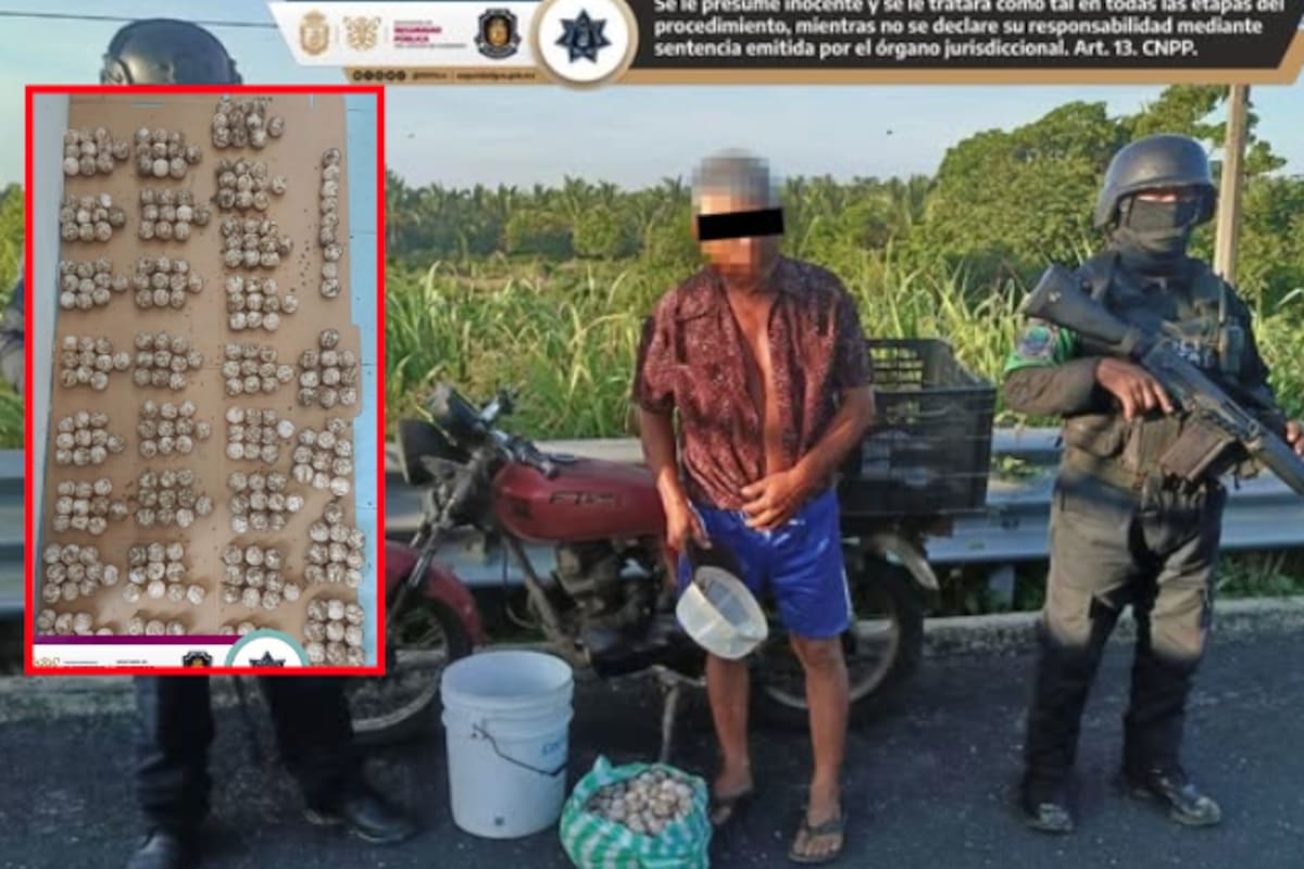 Lo detienen por ir en motocicleta sin casco pero descubren que llevaba 299 huevos de tortuga marina ilegalmente