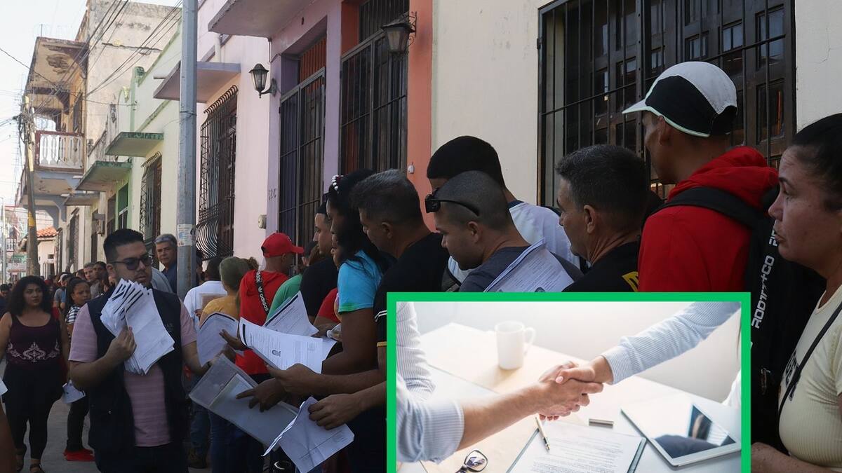 Migrantes deportados de EU necesitarán solo 2 documentos para obtener empleo en México: Gobierno de Sheinbaum