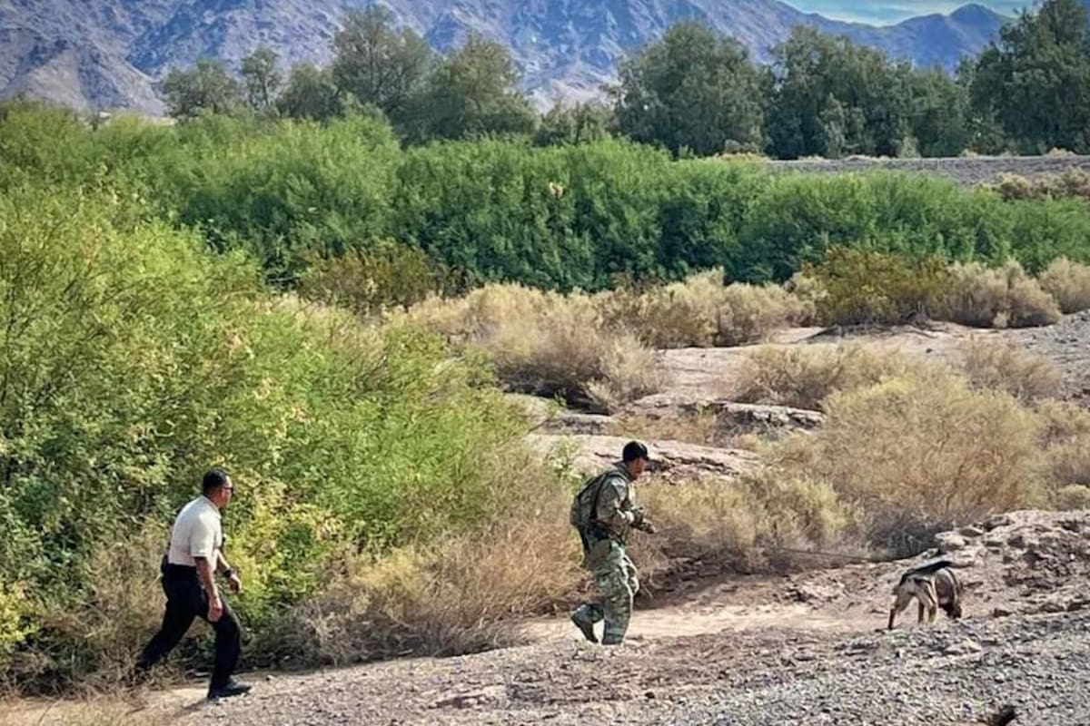 Automovilista choca y se extravía en Yuma