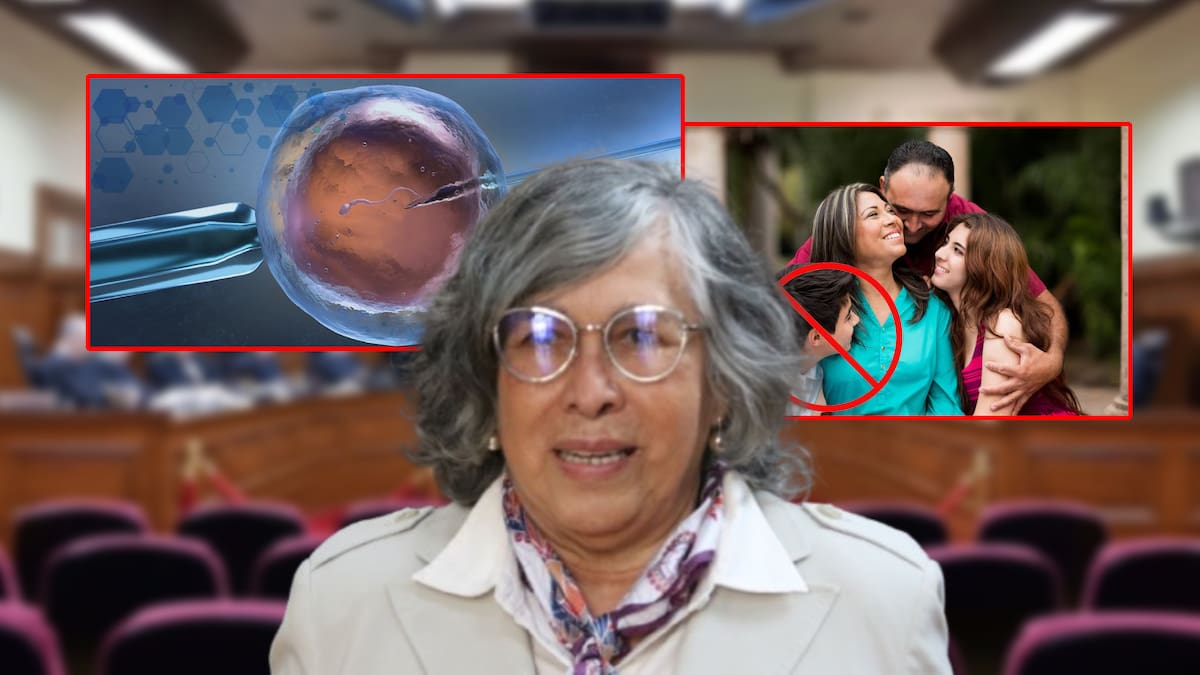 Ministra Ríos contradijo la Constitución al afirmar que nacidos por fecundación in vitro NO son parte de la familia mientras las leyes prohíben la discriminación por la forma de nacimiento