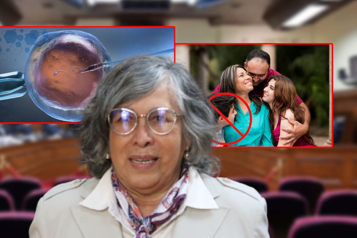 Ministra Ríos contradijo la Constitución al afirmar que nacidos por fecundación in vitro NO son parte de la familia mientras las leyes prohíben la discriminación por la forma de nacimiento