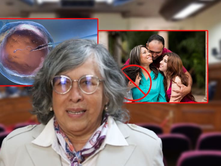 Ministra Ríos contradijo la Constitución al afirmar que nacidos por fecundación in vitro NO son parte de la familia mientras las leyes prohíben la discriminación por la forma de nacimiento