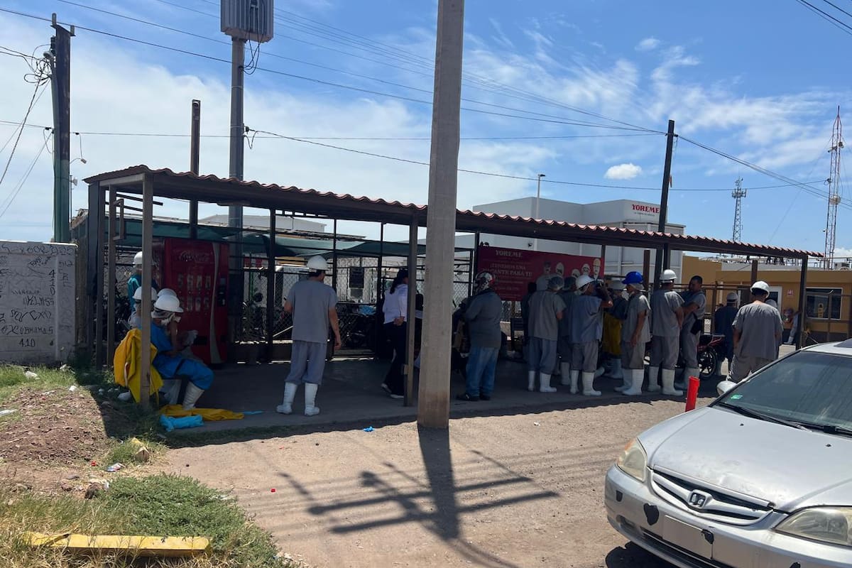 Aplicarán sanción a empresa del Parque Industrial de Ciudad Obregón tras fuga de amoniaco