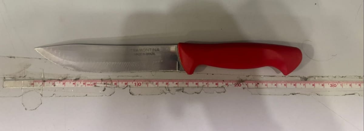 El detenido fue identificado como Luis Antonio “N”, de 29 años, quien quedó asegurado por el delito de homicidio en grado de tentativa. Foto: Cortesía