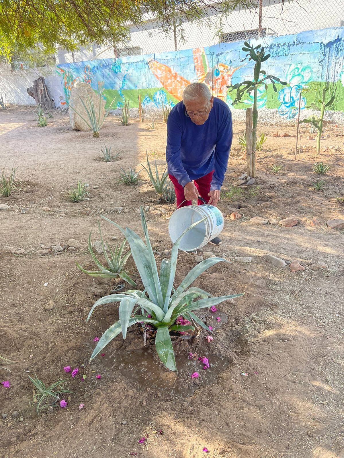 En el parque La Antena varios
voluntarios realizan trabajos de
limpieza y mantenimiento. FOTO: CORTESÍA