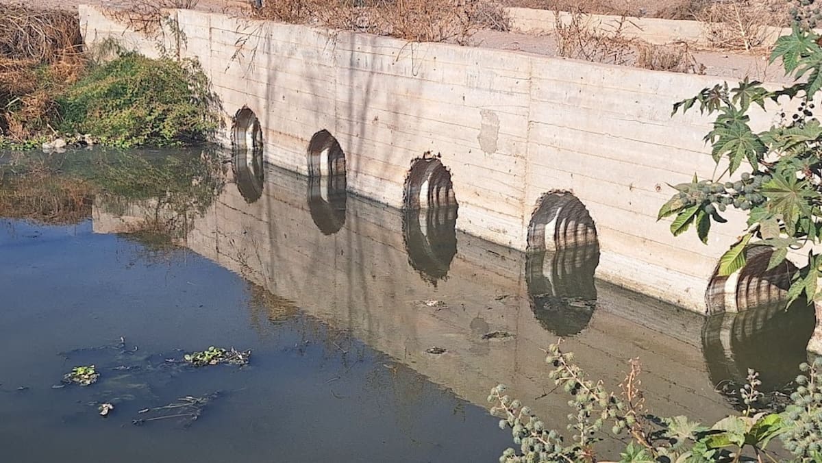 Aguas residuales llegan al río Mayo, aseguran habitantes de San Ignacio. Foto: GH