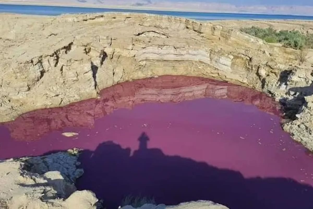 Extraño fenómeno pinta de rojo estanque cercano al mar muerto
