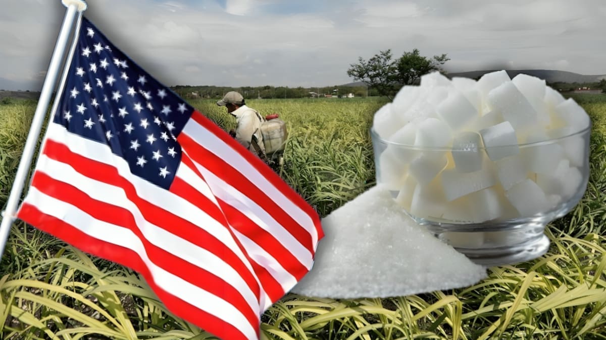 México logra regularizar el acceso de azúcar al mercado estadounidense tras acordar la exportación de 1 millón 152 mil toneladas para el ciclo 2026-2027, un pacto con el USDA que beneficiará a 170 mil cañero