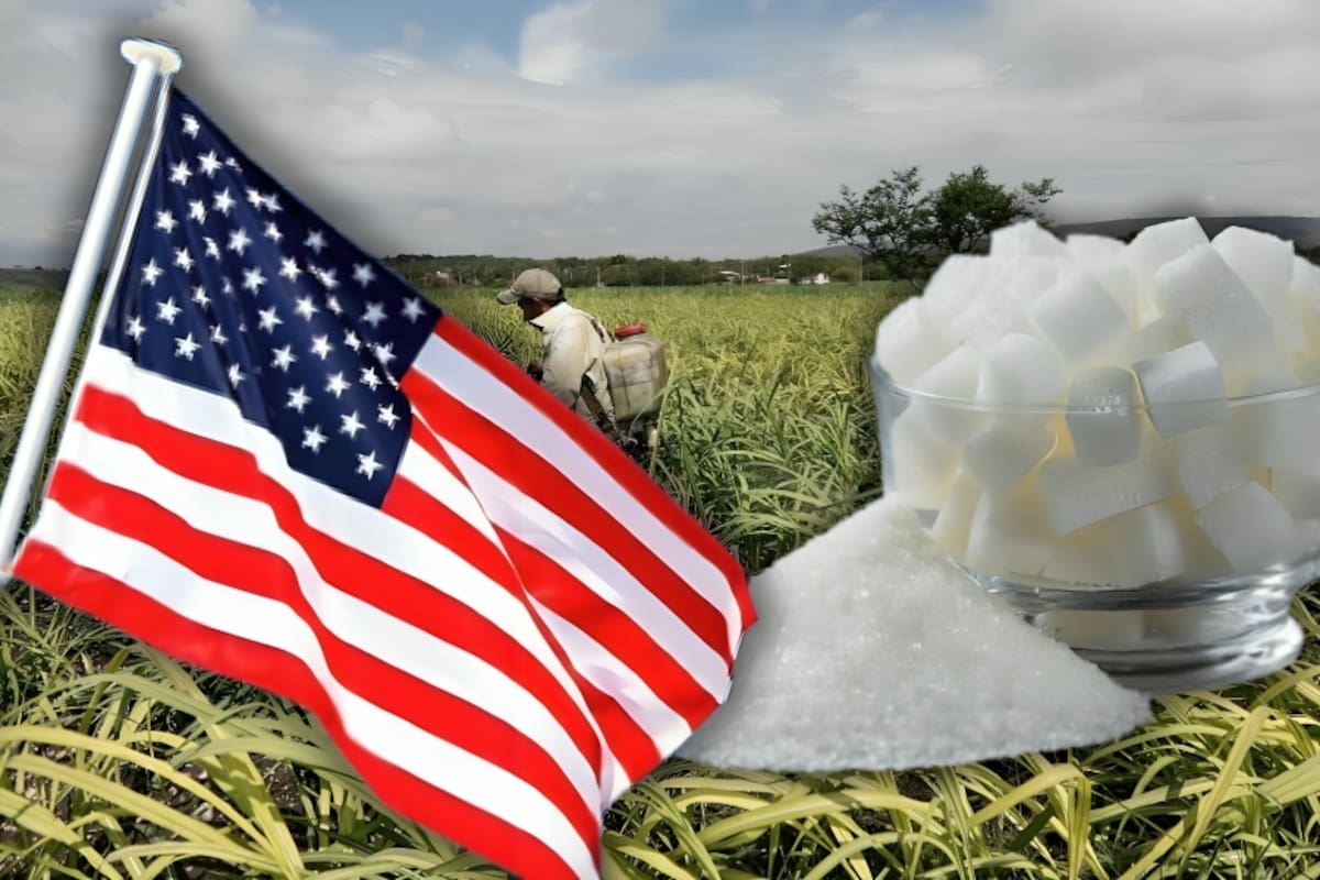 México logra regularizar el acceso de azúcar al mercado estadounidense tras acordar la exportación de 1 millón 152 mil toneladas para el ciclo 2026-2027, un pacto con el USDA que beneficiará a 170 mil cañero