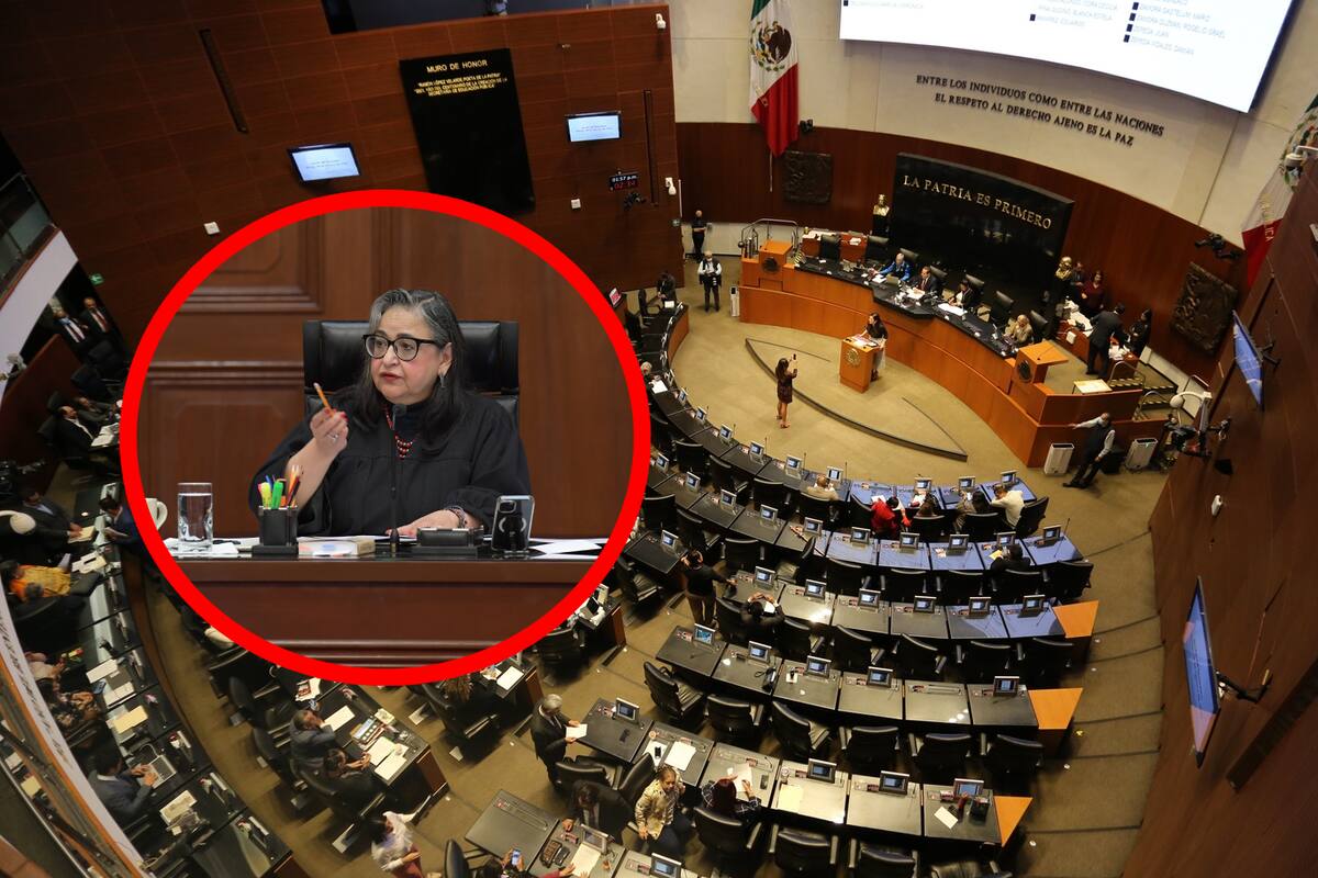Discutirá Senado reforma al Poder Judicial la próxima semana, a Morena le falta solo un voto