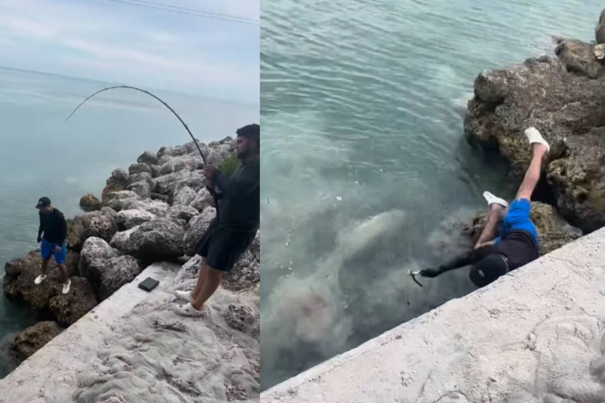 Hombre intenta pescar un tiburón, pero resbala y cae por un acantilado, causando risas