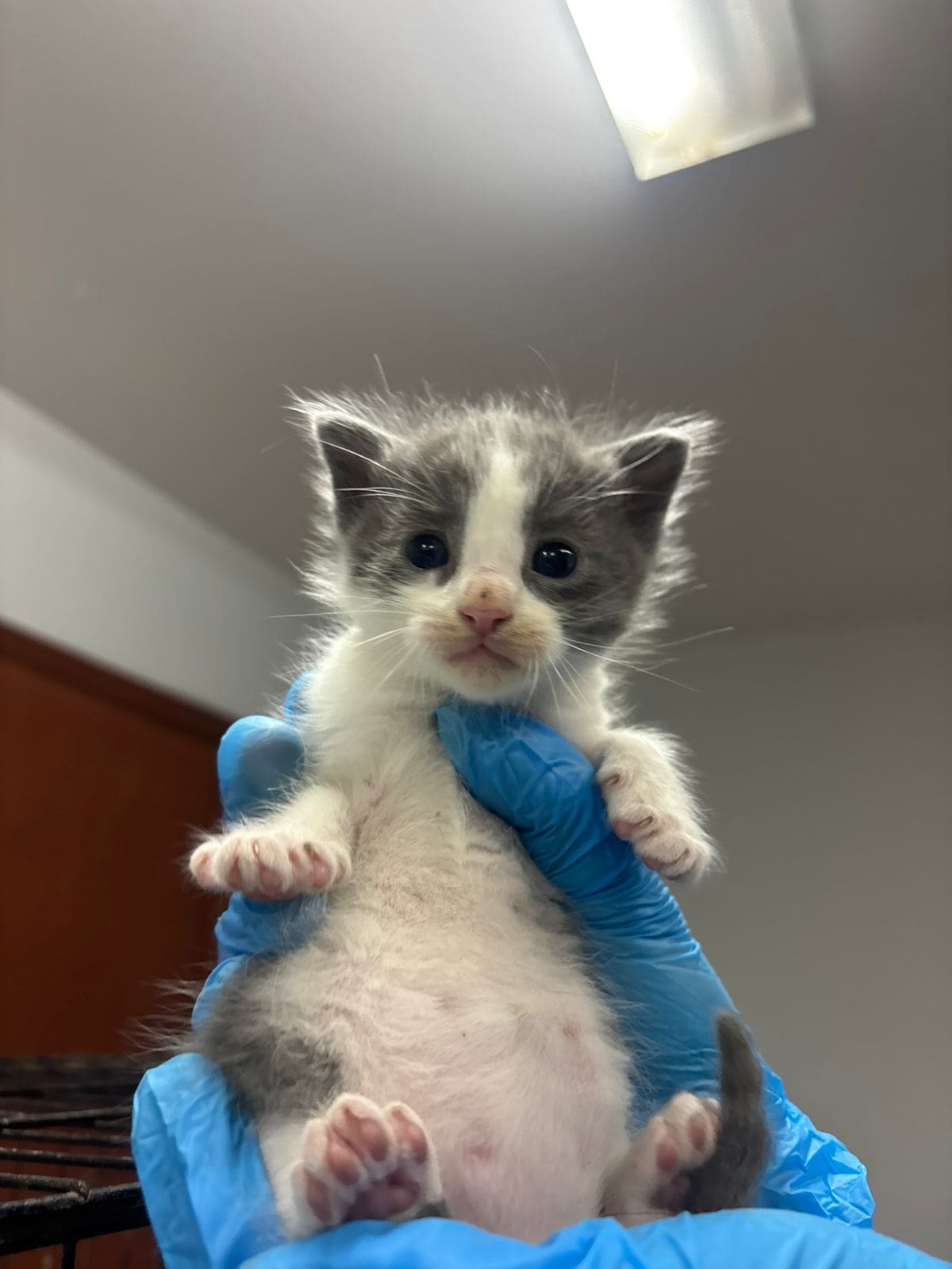 Foto: redes sociales Ismael Burgueño