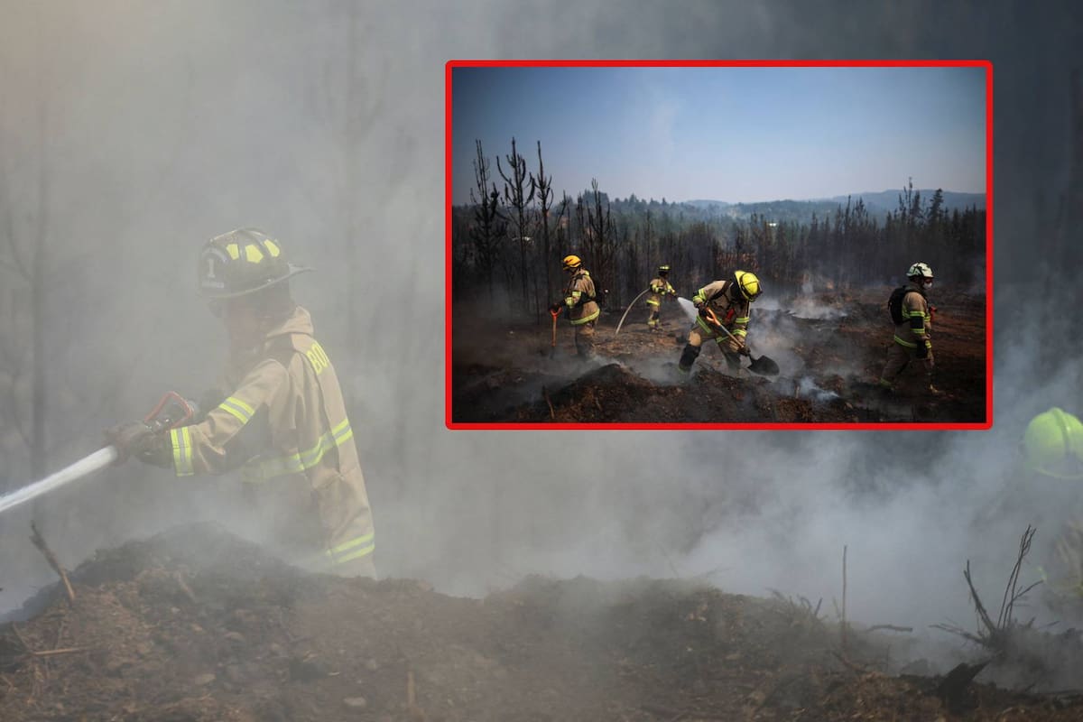 Incendios en Chile: Bajan las llamas pero sube la cifra de muertos a 20 y crecen las críticas por respuesta lenta