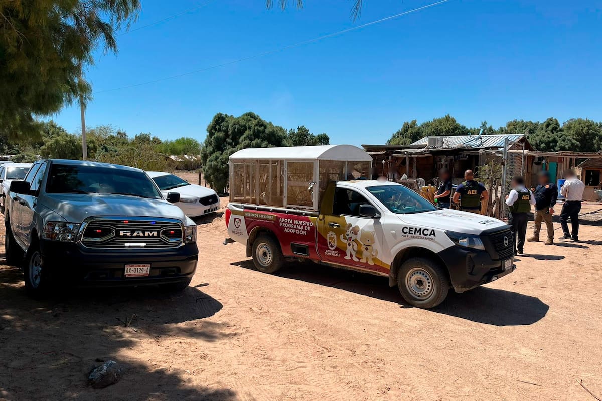Identifican a joven acusado de zoofilia