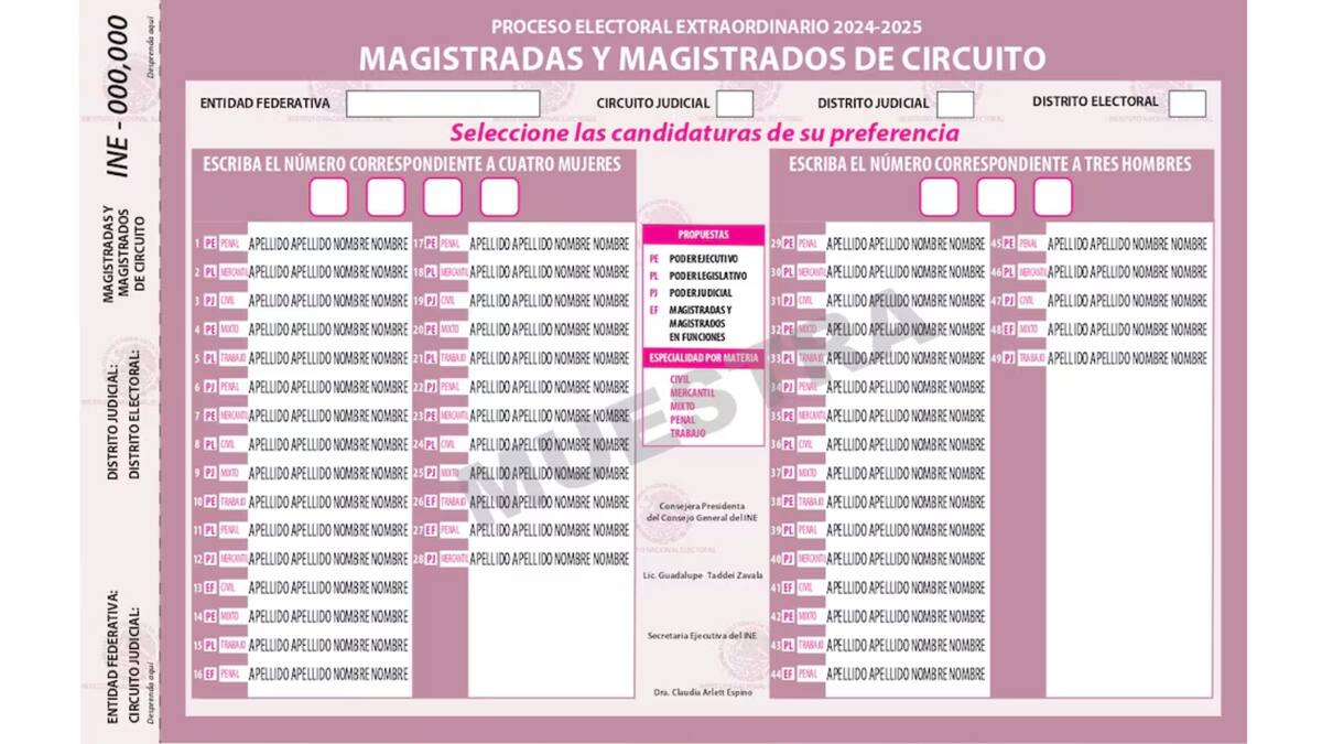 Magistrados Circuito