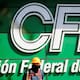 CFE emite deuda por 20 mil millones de pesos