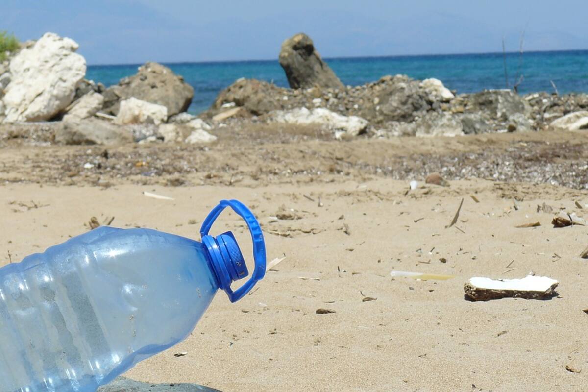 Hallan plástico en la Fosa de las Marianas