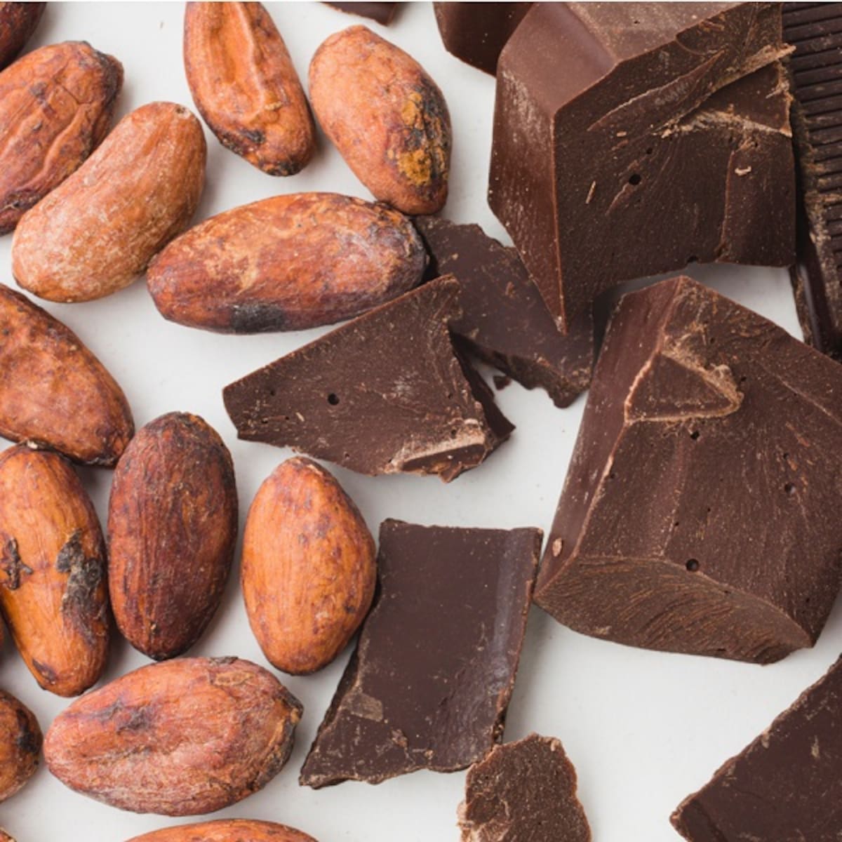 El cacao también tenía un profundo significado religioso. Diversas culturas prehispánicas lo consideraban una planta asociada con las divinidades y un elemento capaz de otorgar beneficios a quienes lo consumían. Dirección General del Servicio de Información Agroalimentaria y Pesquera