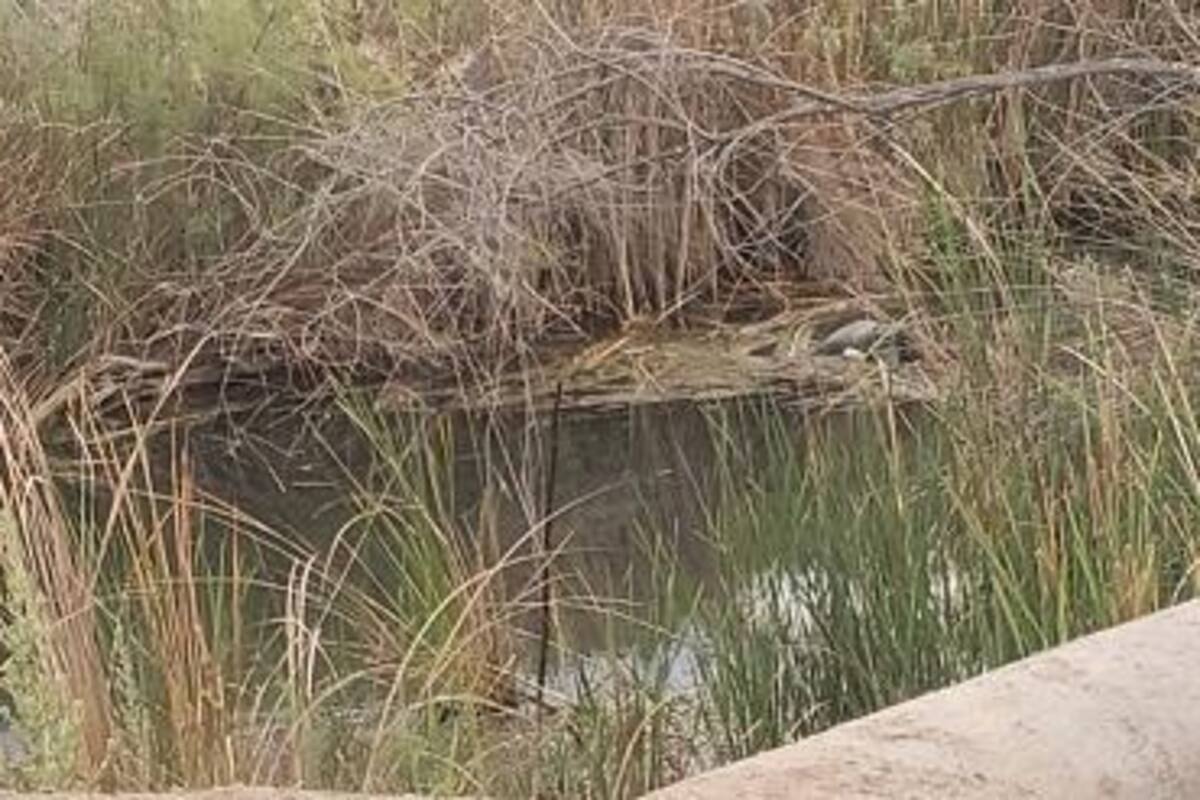 Hombre hallado en dren murió por causa natural