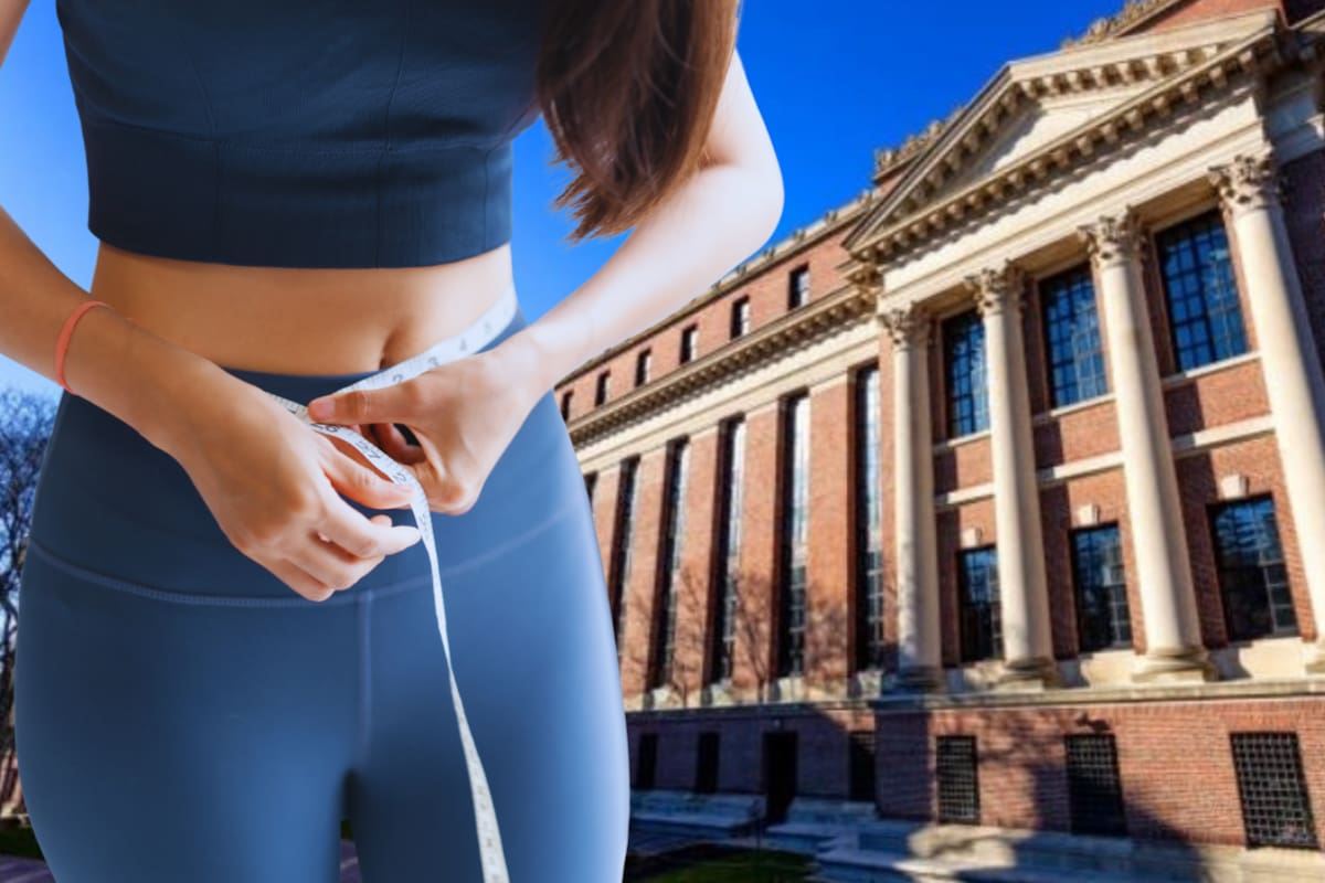 Harvard revela cuál es el alimento económico que ayudará a bajar de peso de forma saludable