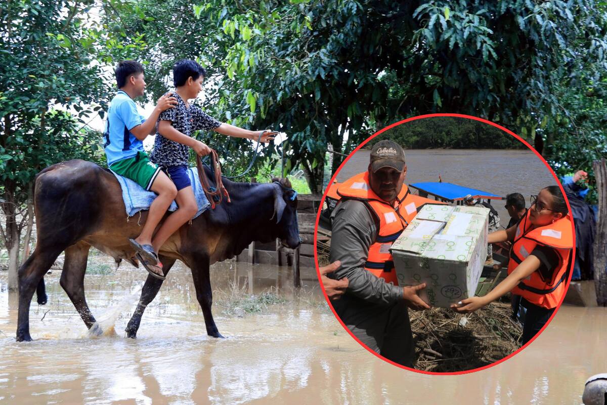 Inundaciones en la Amazonía de Bolivia: Más de 700 mil personas afectadas y 49 fallecidas