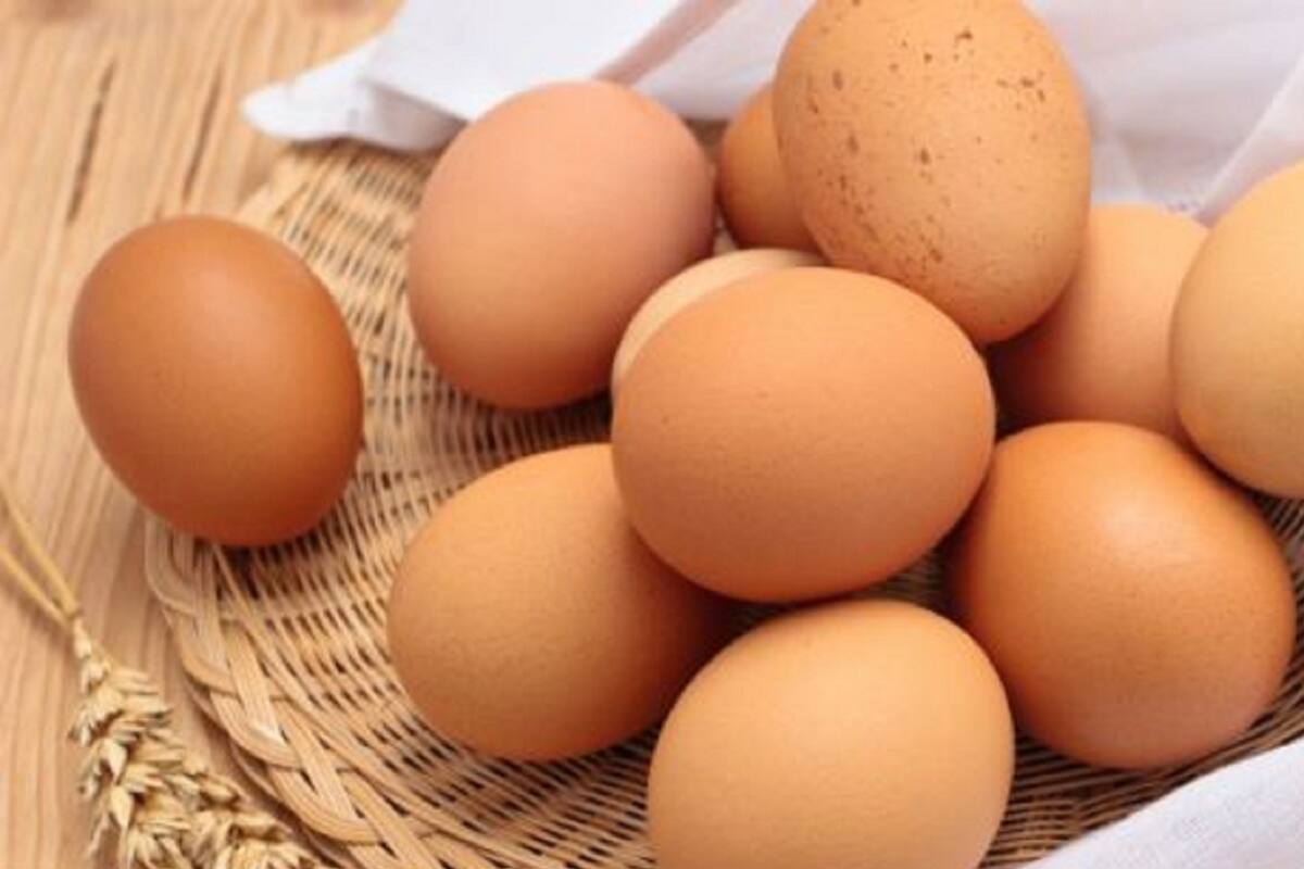 ¿Es realmente saludable comer huevo todos los días? Esto revelan los especialistas