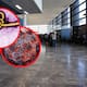 Aplicarán revisiones médicas a viajeros internacionales en Tijuana para detectar enfermedades infecciosas como ébola, hantavirus o sarampión