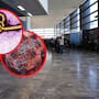 Aplicarán revisiones médicas a viajeros internacionales en Tijuana para detectar enfermedades infecciosas como ébola, hantavirus o sarampión