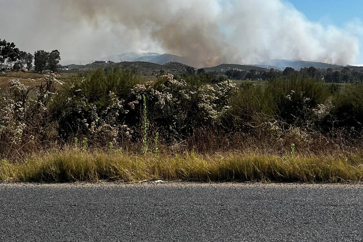 Reportan otro incendio en Valle de Guadalupe