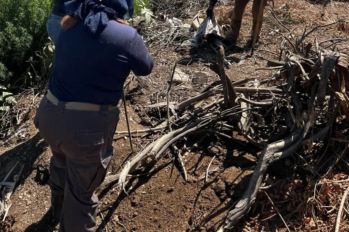 Familias de desaparecidos exigen creación de Banco de ADN en Baja California