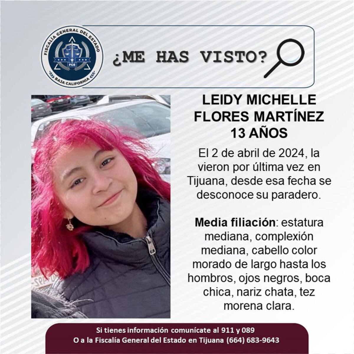 Pesquisa de Leidy Michelle Flores Martínez.