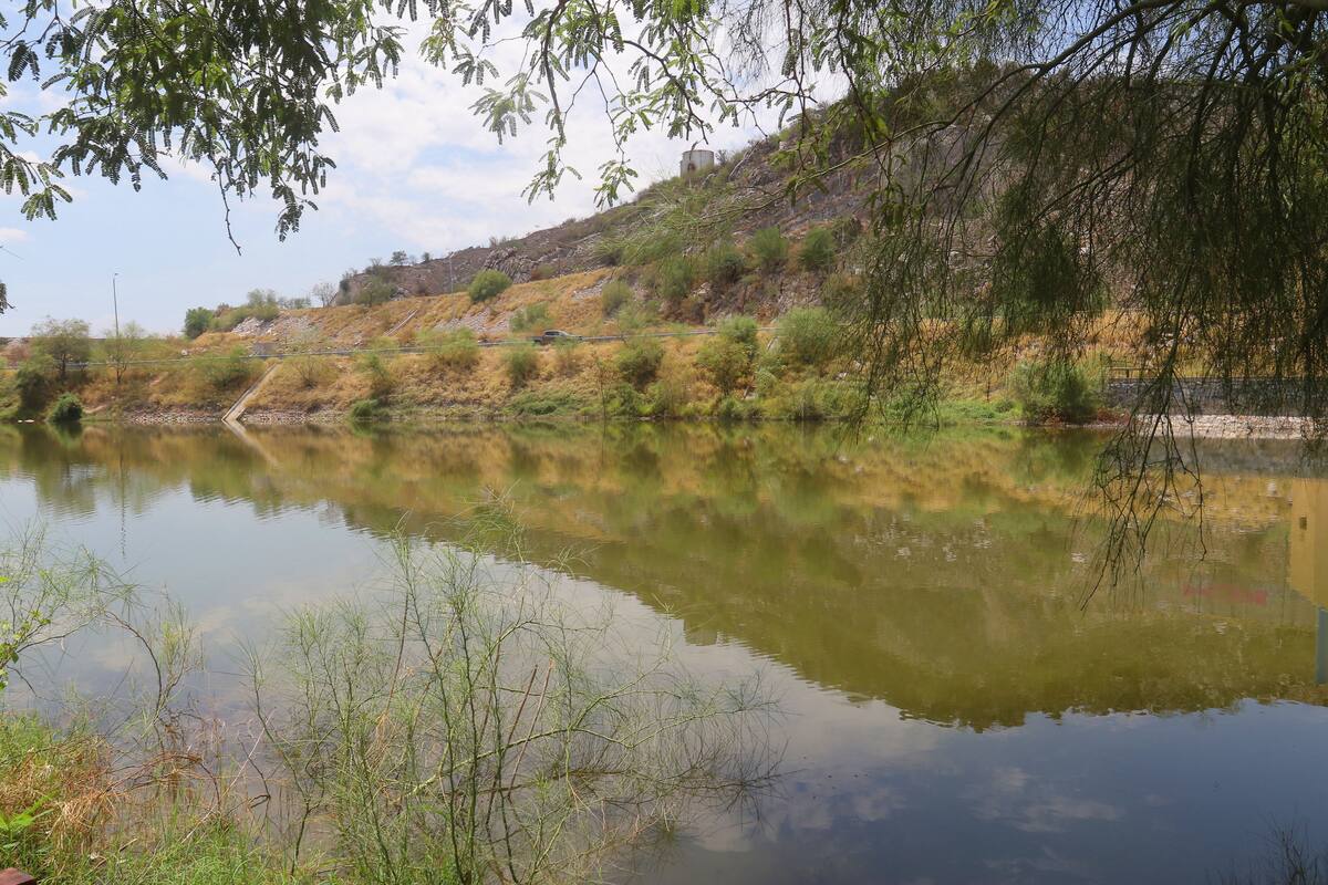 Hermosillo: Dinosaurios llegarán al humedal de La Sauceda