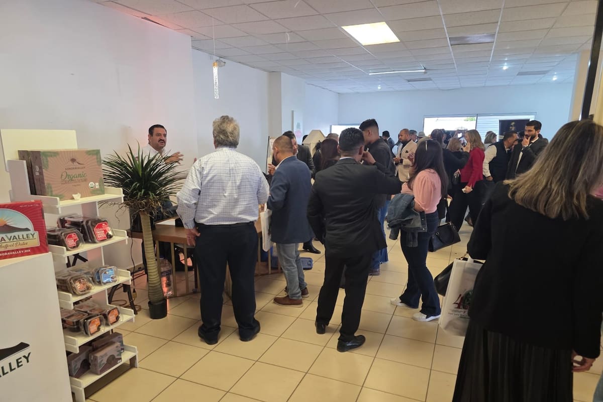 Diálogo técnico, científico y productivo impulsa el desarrollo de la palma datilera en el noroeste de México