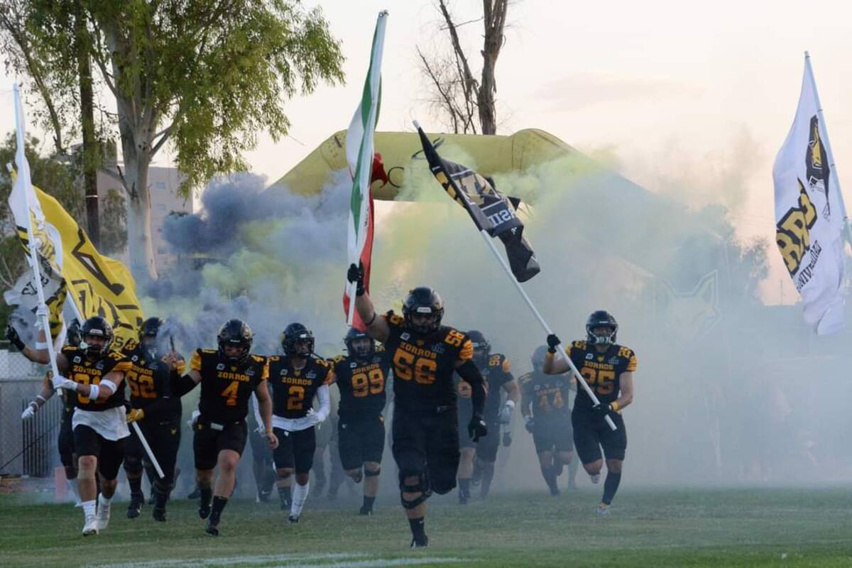 Zorros apaleó a Lobos dentro de la ONEFA