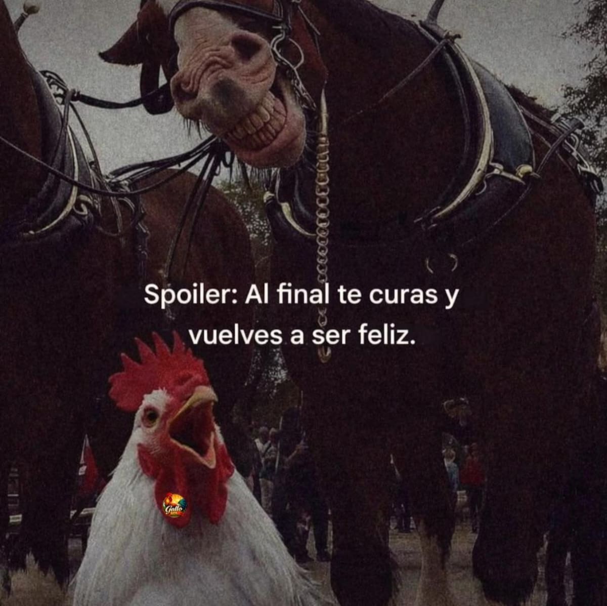 Imagen tomada de Facebook para hacerte sonreir (@GalloSol).