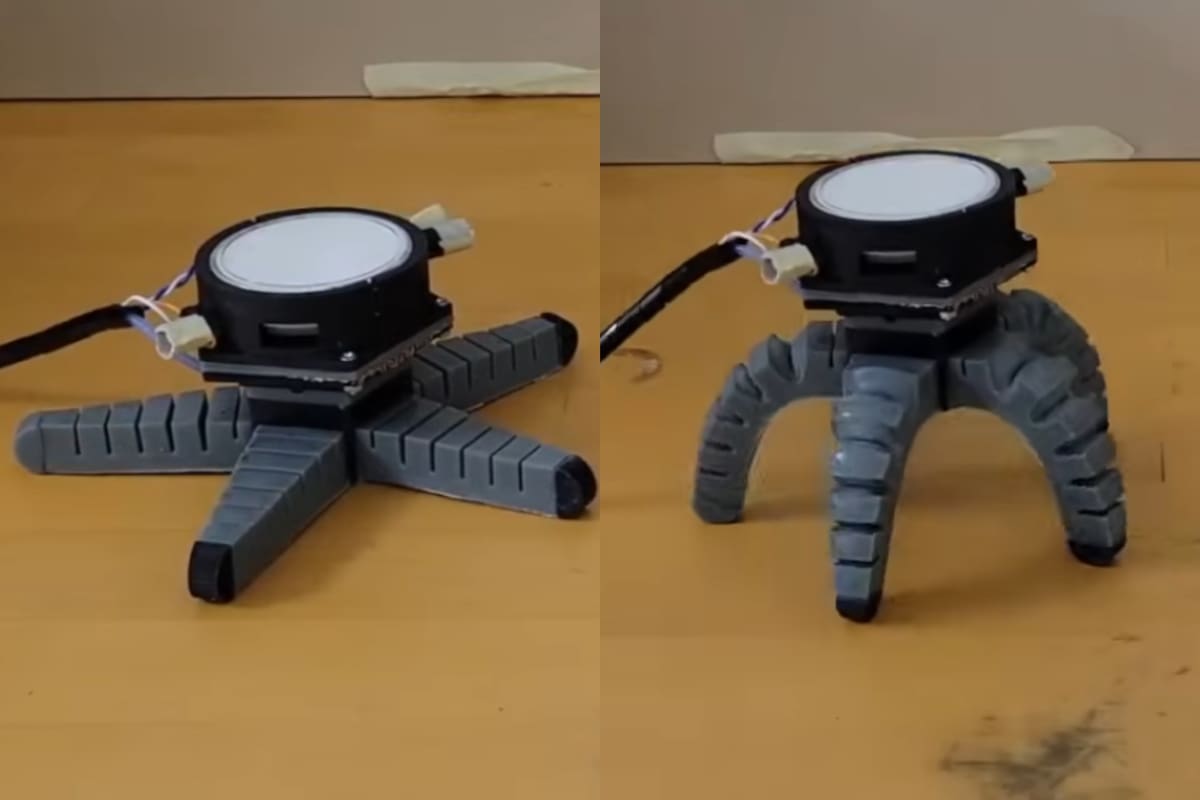 Investigadores integran un hongo vivo en un robot y logran que camine y se desplace sobre ruedas al transformar su actividad eléctrica en movimientos